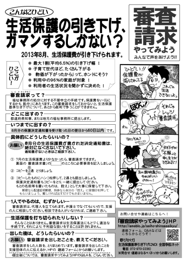 審査請求チラシ 審査請求チラシ